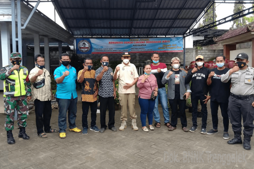 BNNK TRENGGALEK APRESIASI ADANYA KOMUNITAS BONSAI LANTANA TRENGGALEK