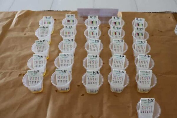 WUJUDKAN LINGKUNGAN PENDIDIKAN BERSIH NARKOBA, BNNK TRENGGALEK ADAKAN SCREENING TES URIN BAGI PELAJAR DI SMKN 1 TRENGGALEK
