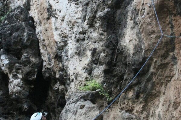 SAMBUT HUT KE-21 BNN, BNNK TRENGGALEK KAMPANYEKAN WAR ON DRUGS MELALUI PAGELARAN SENI DAN KEJUARAAN ROCK CLIMBING