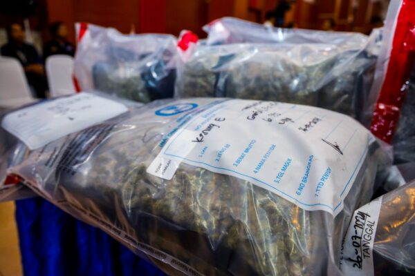 BNN-BEA DAN CUKAI BERHASIL UNGKAP KASUS PENYELUNDUPAN GANJA THAILAND JARINGAN SINDIKAT NARKOTIKA INTERNASIONAL